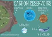 poster on carbon reservoirs
